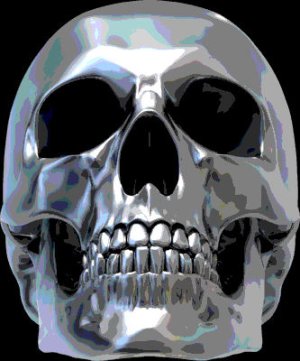Chrome Skull Reference-Posterized.jpg
