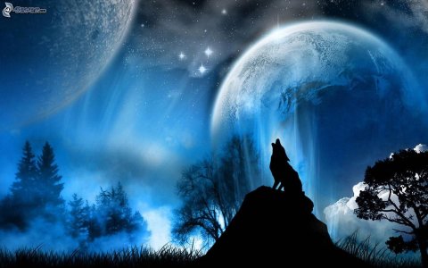 [bilder.4ever.eu] wolf heult, silhouette eines wolfes, mond 157980.jpg