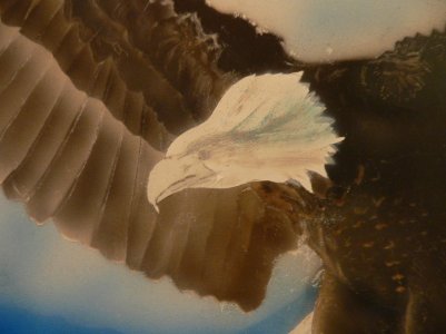 Eagle under painting.jpg