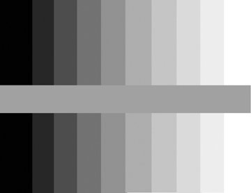 grayscale_web.jpg