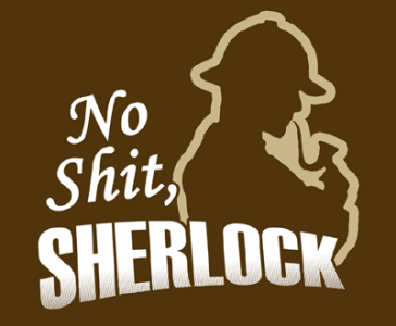 no_shit_sherlock.gif