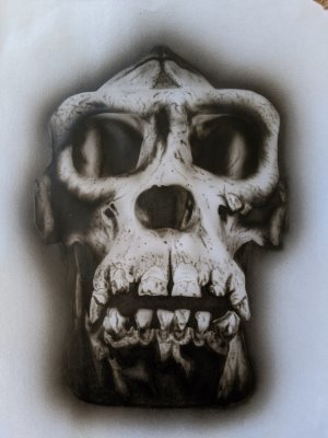 Ape-Skull-small.jpg
