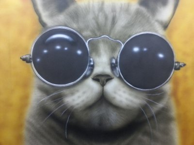 cat with glasses.jpg