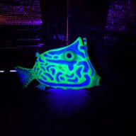 Tocean